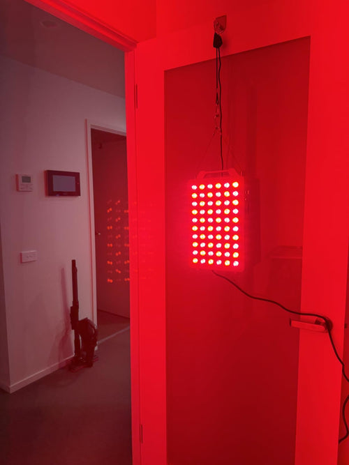 ReWired Red Light Panel powered on